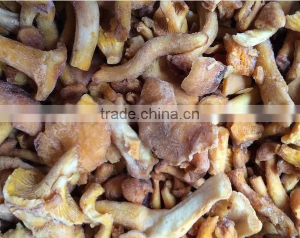 Frozen Grade A Chanterelles Mushrooms photo-2