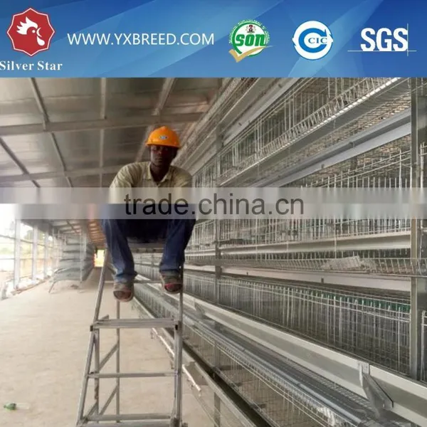 Cage for Laying Hen Used photo-3
