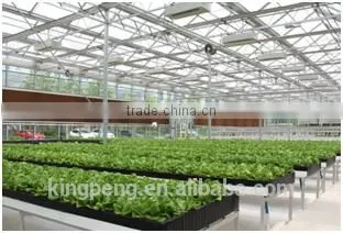Hydroponic Fruit and Vegetable Glass Greenhouse photo-2