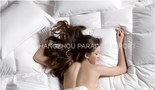 Customized Sizes Down Pillow in Knife Stitched/Inseam for Elegant photo-2