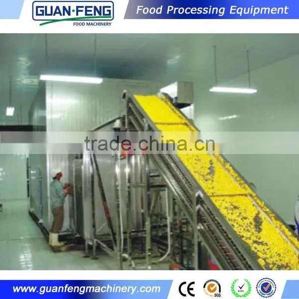 Industrial IQF Machine Vegetable And Fruit Quick Freeze Machine photo-5