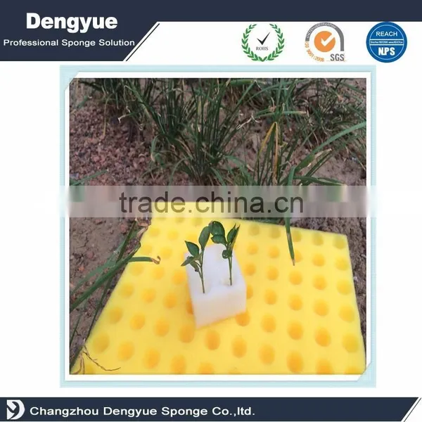 Singapore Foam Tray Seed Hydroponic Seedling Cultivation Foam for Soilless Culture photo-4