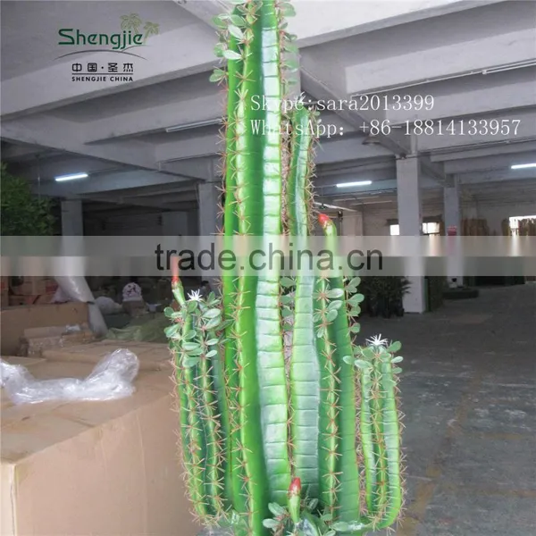 CHY030930 Landscaping Cactus Plant With Flowers/indoor Plastic Succulent Plant photo-3