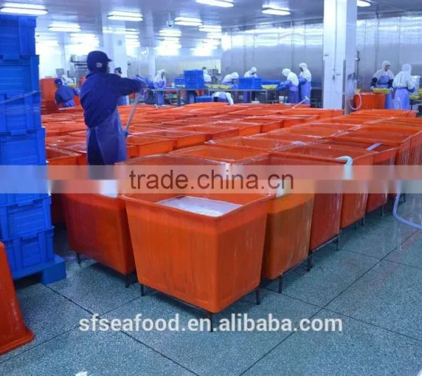 Health Food of Squid Tube photo-2