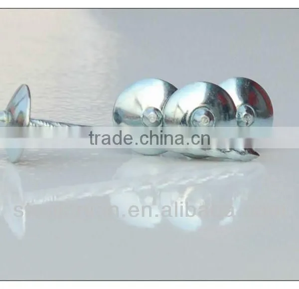 Best Selling Umbrella Head Roofing Nails in Africa photo-5