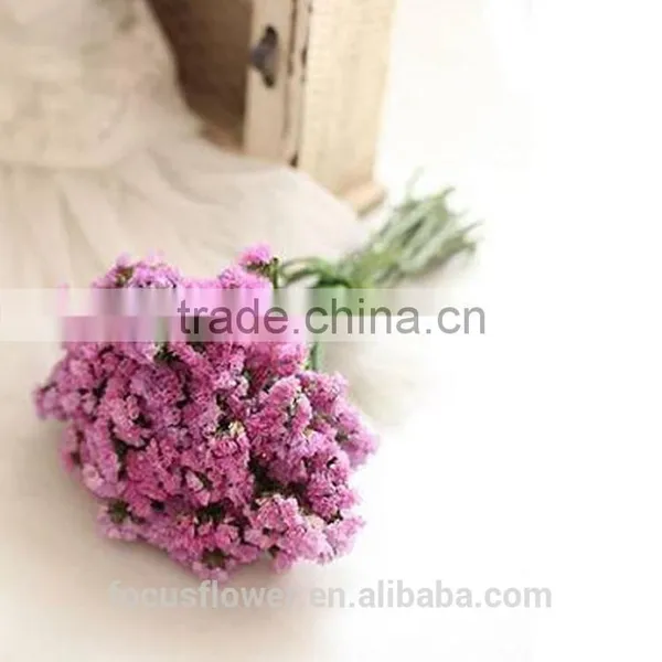 Good Petals Real Touch Statice Flowers Global Distribution From Kuming photo-4