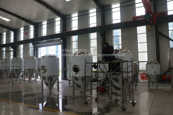 Tonsen Brand Beer Equipment photo-4