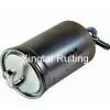 Auto Fuel Filter