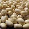 Blanched Peanut