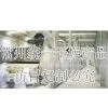 TWG Flavouring Granulating Drying Line