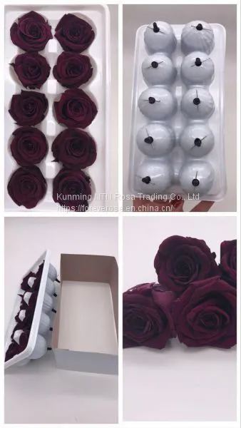 Preserved Rose Flowers for Wedding Decoration Flower Arrangement photo-4