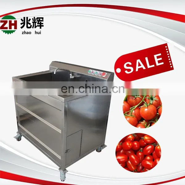 Commercial Small Blueberry Strawberry Fruit and Vegetable Washer Machine photo-4