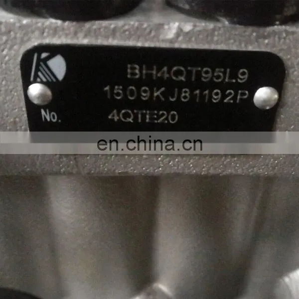 BJAP Injection Pump 4QTE20 BH4QT95L9 E049331000255 photo-2