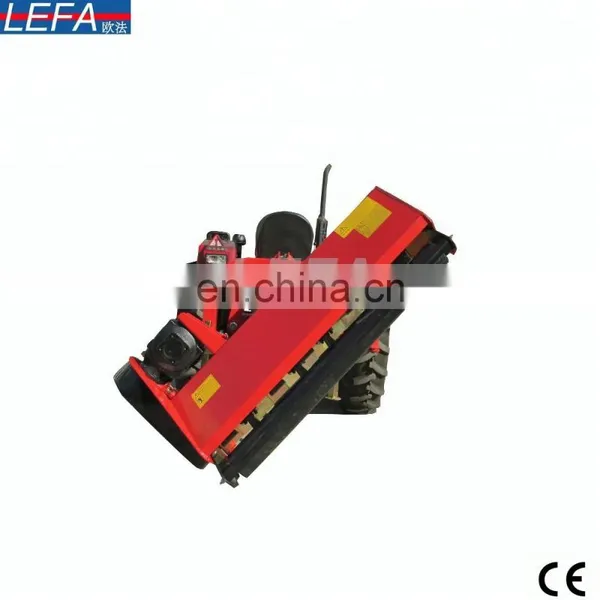 Agriculture Machinery Verge Side Flail Mower for Sale photo-4