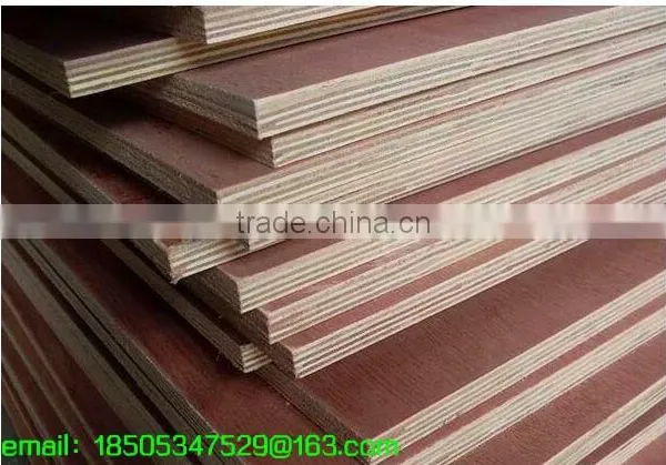 Full Poplar Plywood photo-4