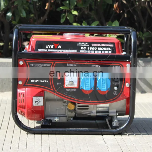 Chinese 1 Kw 1000W 1200 Watts Electric Power Gas Generators In Germany photo-2