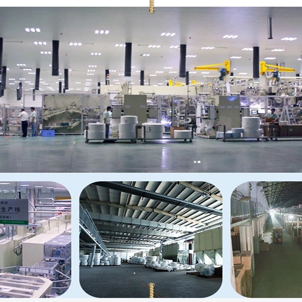 Quanzhou Coach Hygiene Products CO.,LTD company overview - view 2