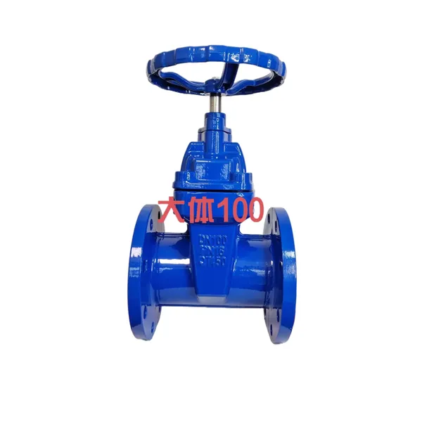 Trending Products DIN Soft Seat GG25 GGG40 DN100 F4 NRS Gate Valve Lighter Type Resilient Gate Valve photo-2