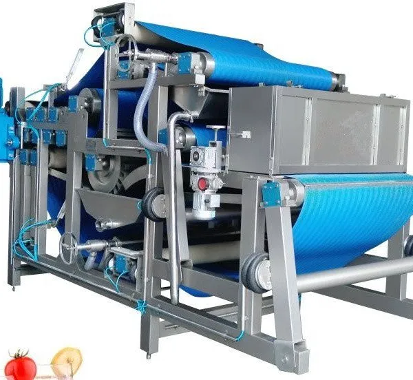 Apple Juice Production Line/fruit Pulp Processing Machine photo-4