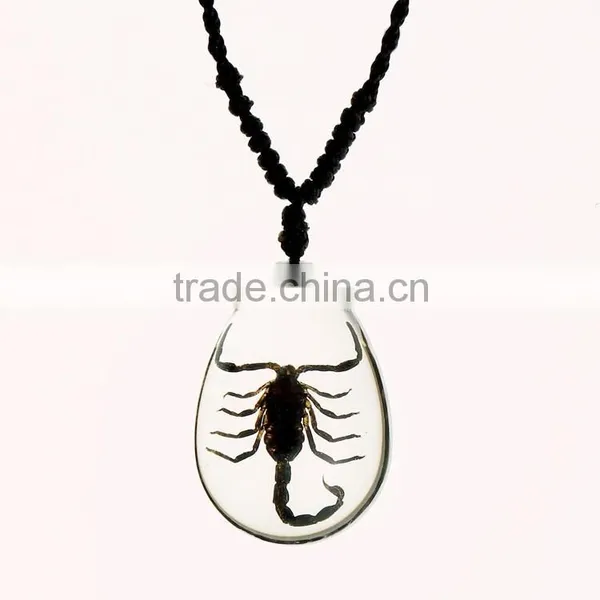 New Wholesale Fashion Lovely Necklace With Real Insect photo-2