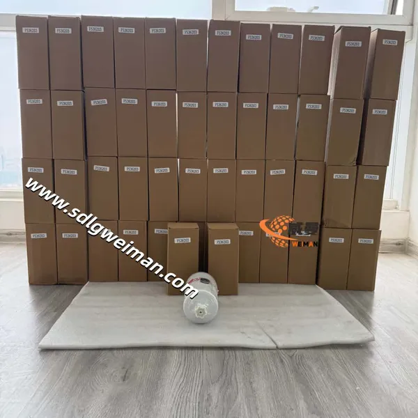 Fleetguard FS36203 Filter für Lastwagen zu einem guten Preis