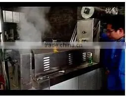 Cheese Ball,Corn Curl,KurKure Snacks Making Machine photo-3