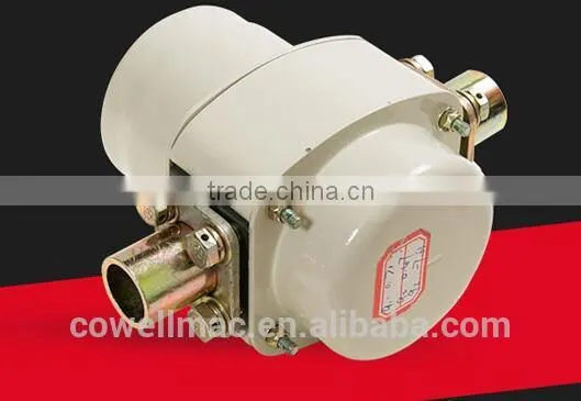 Roots Type Flow Meter( Gas Flow Meter) photo-2