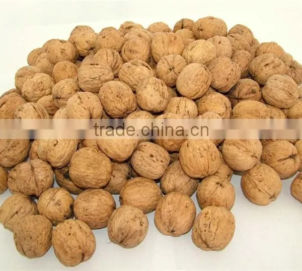 Walnuts Paste 100% Pure First Quality for Bakery and Gelato