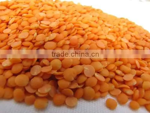 Bulk Red Lentil, Green Lentil