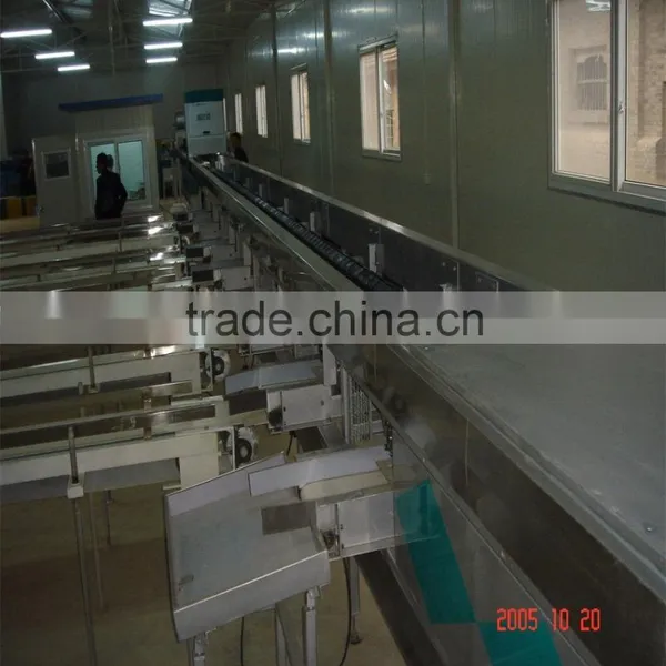 Dragon Fruit Sorting Machine photo-6