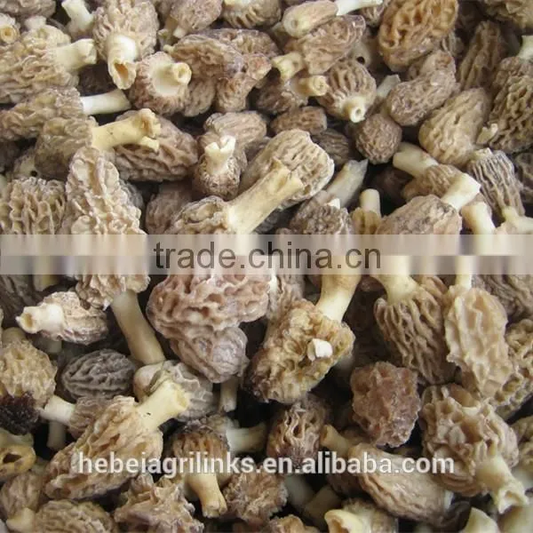 IQF Frozen Style Chinese Morel Mushroom photo-2