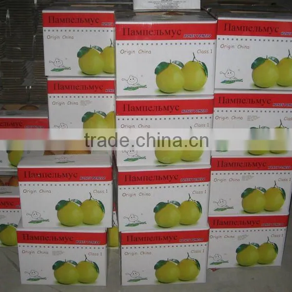 Pomelo,Fresh Pomelo,Honey Pomelo