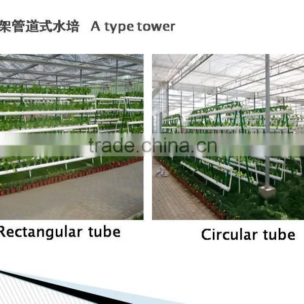 Greenhouse Hydroponics Garden for Vegetables photo-3