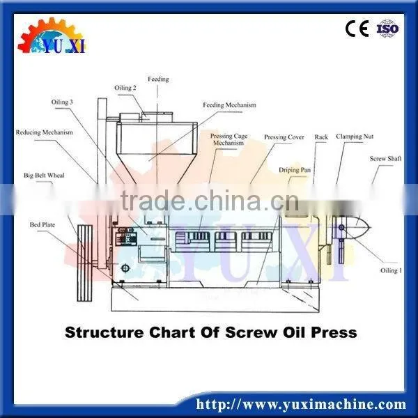 Cost Effective of Cotton Seeds Oil Extruder With Canton Fair Show photo-6