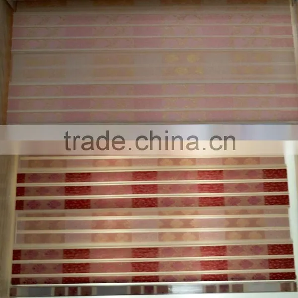 Popular Eastern Premium Blind Zebra Blind