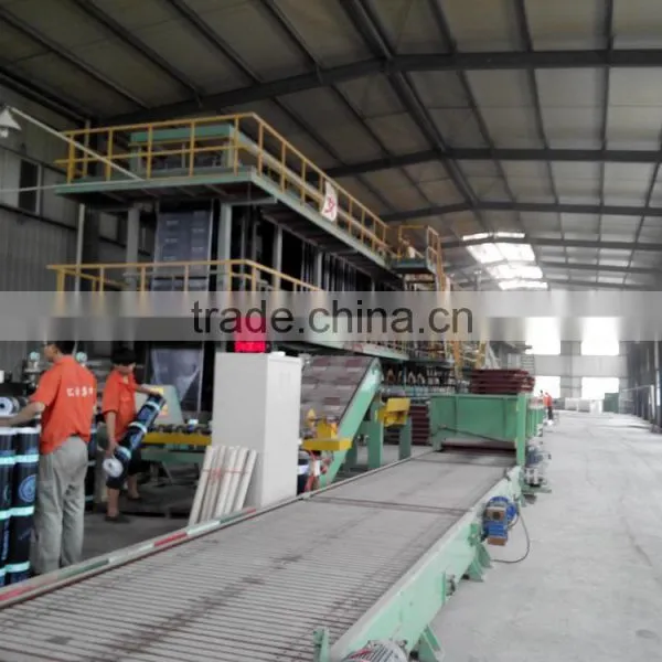 Best Manufacturer: Polyester Roof Waterproof Membrane, SBS/APP Waterproof Membrane Underlayment photo-3