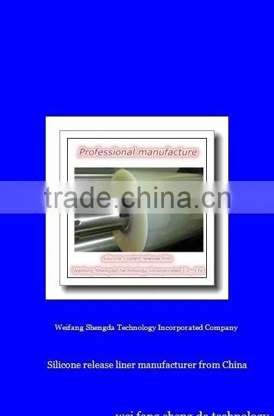 Manufacturer for Silicone Coated Pet Release Film photo-3