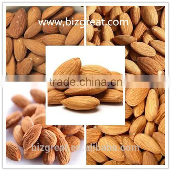 Roasted Salted Apricot Kernels Without Shell for Hot Sale photo-3