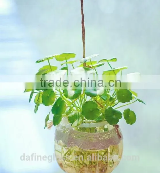 Pumpkin Shape Glass Vase Bottle for Plant With Metal Handle Candle Hydroponic/Home Decoration photo-3