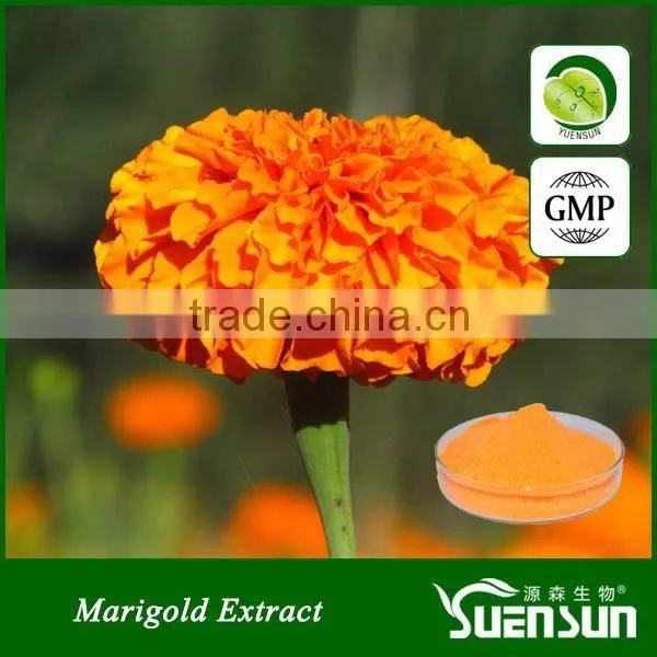 Organic Xanthophyll Marigold Flower Extract Pure Natural Lutein