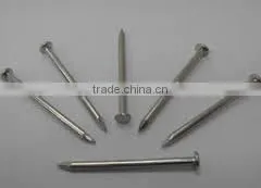 Low Price Good Quality Common Nail photo-5