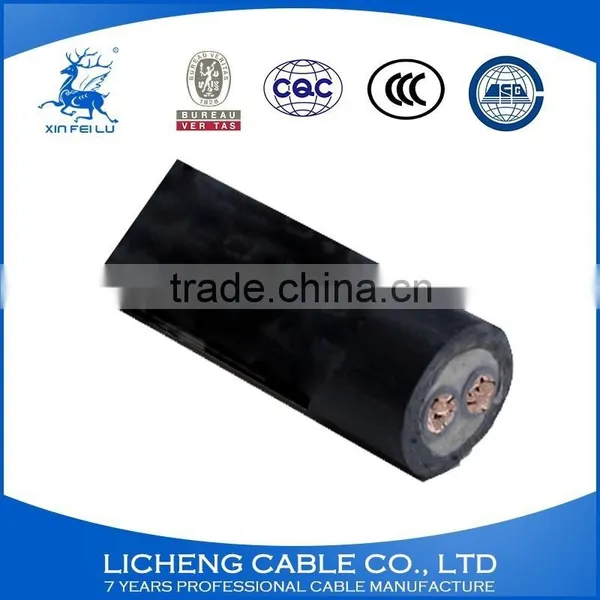 XLPE Insulated PVC Sheathed Copper Power Cable 2core Electric Cable 2x120mm2 photo-2