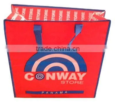 PP Woven Shopping Bag(KL08S020)