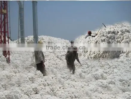 MCU-5, RAW COTTON