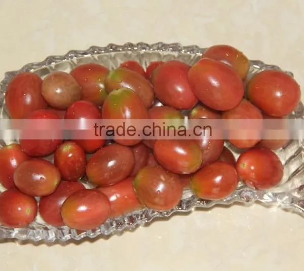 Export Fresh Sweet Cherry Tomato photo-2