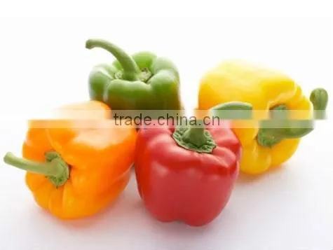 Color Pepper ( GREEN - YELLOW - RED ) photo-4