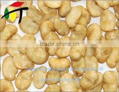Delicious Healthy Flavored Broad Bean Chip Snacks Dry Fava Beans photo-3