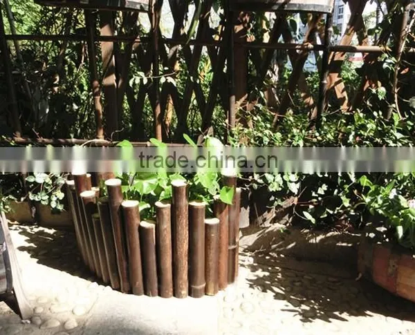 Bamboo for Garden Fense photo-3