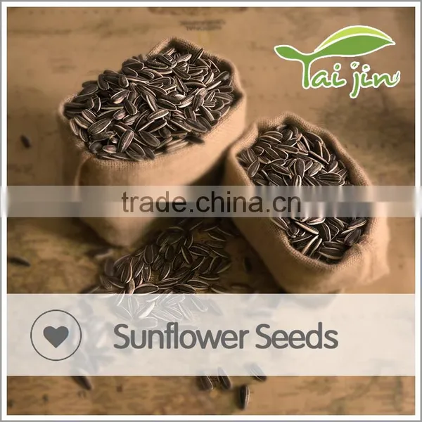 Sell Organic Chinese Sunflower Seeds Long Shape photo-5