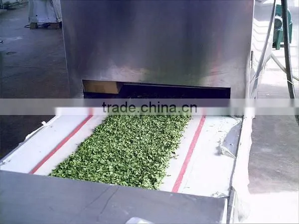 Panasonic Magnetron Spinach Drying and Sterilization Microwave Simultaneously Equipment photo-3